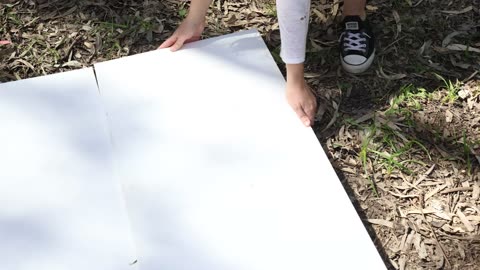 The three blank canvases laid out on the forest floor before painting