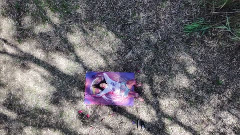 Wide aerial shot: a small figure lying on a painted canvas, forest all around