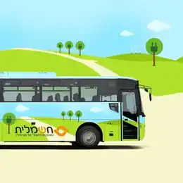 Electric bus line branding